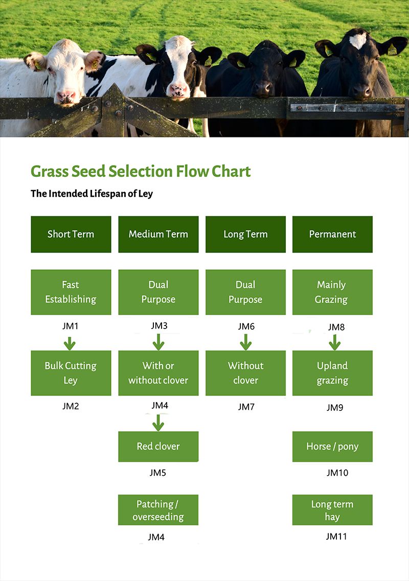 Mortimers Grass Seed Brochure 2026
