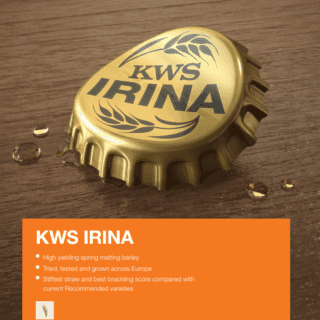 KWS Irina advert.PNG