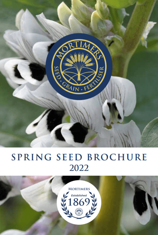 Spring 2022 Seed Brochure
