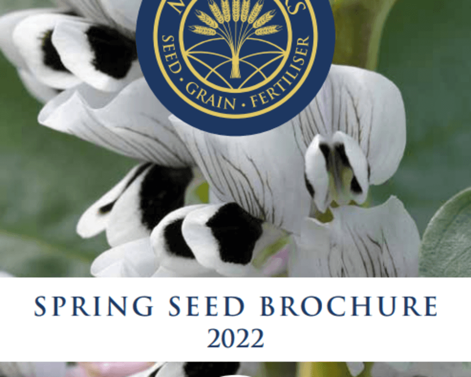 Spring 2022 seed brochure front cover.PNG