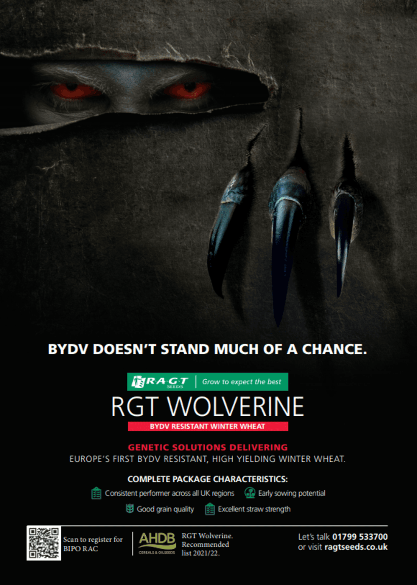 RGT Wolverine.PNG