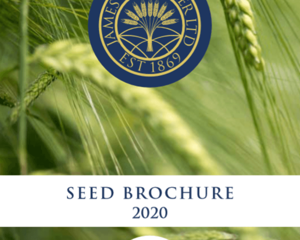 2020 Seed Brochure.PNG