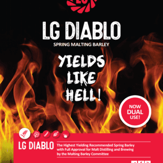 LG Diablo Ad.PNG