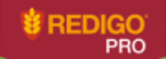 Redigo Pro