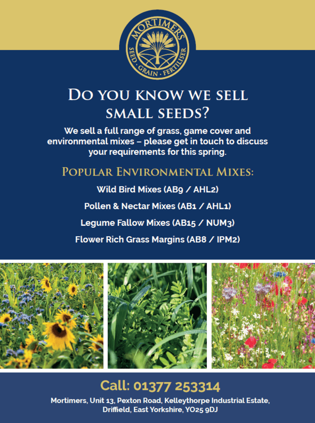 Small Seeds Flyer   Feb 2024.PNG