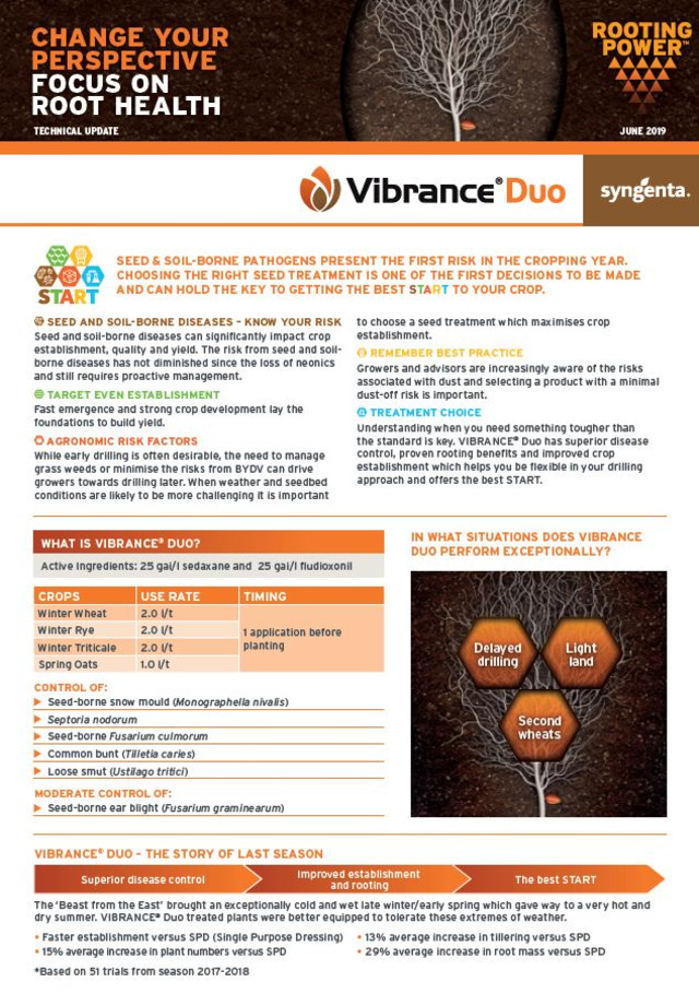 Vibrance Duo 1.JPG